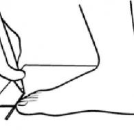 Nên Chọn Size Giày Như Thế Nào Là Đúng? – Bí Quyết Mua Giày Chuẩn Size, Êm Chân