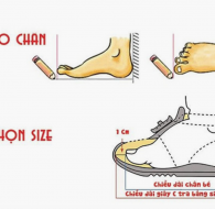 Hướng Dẫn Chọn Giày Đá Bóng Cho Bé Chuẩn Nhất